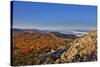 USA, Virginia, Shenandoah National Park, fall color in the park-Hollice Looney-Stretched Canvas