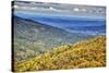 USA, Virginia, Shenandoah National Park, fall color-Hollice Looney-Stretched Canvas