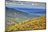 USA, Virginia, Shenandoah National Park, fall color-Hollice Looney-Mounted Photographic Print