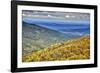 USA, Virginia, Shenandoah National Park, fall color-Hollice Looney-Framed Photographic Print