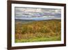 USA, Virginia, Shenandoah National Park, fall color-Hollice Looney-Framed Photographic Print