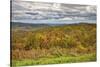 USA, Virginia, Shenandoah National Park, fall color-Hollice Looney-Stretched Canvas