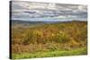 USA, Virginia, Shenandoah National Park, fall color-Hollice Looney-Stretched Canvas