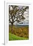 USA, Virginia, Shenandoah National Park, fall color-Hollice Looney-Framed Photographic Print