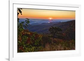 USA, Virginia, Shenandoah National Park, Sunrise along Skyline Drive in the Fall-Hollice Looney-Framed Photographic Print