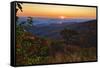 USA, Virginia, Shenandoah National Park, Sunrise along Skyline Drive in the Fall-Hollice Looney-Framed Stretched Canvas