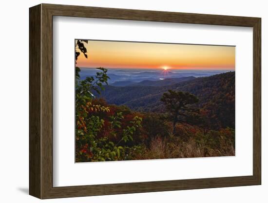 USA, Virginia, Shenandoah National Park, Sunrise along Skyline Drive in the Fall-Hollice Looney-Framed Photographic Print