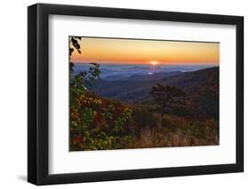 USA, Virginia, Shenandoah National Park, Sunrise along Skyline Drive in the Fall-Hollice Looney-Framed Photographic Print