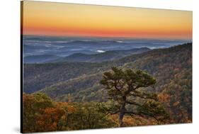 USA, Virginia, Shenandoah National Park, Sunrise along Skyline Drive in the Fall-Hollice Looney-Stretched Canvas