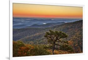 USA, Virginia, Shenandoah National Park, Sunrise along Skyline Drive in the Fall-Hollice Looney-Framed Photographic Print