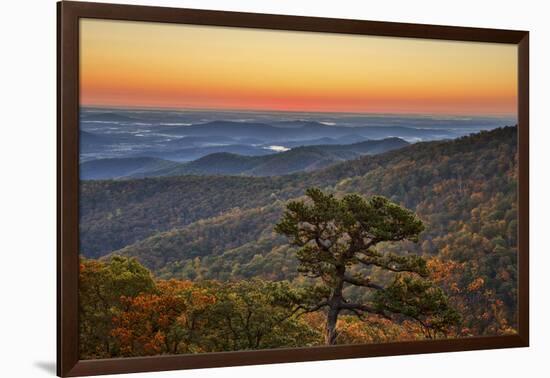 USA, Virginia, Shenandoah National Park, Sunrise along Skyline Drive in the Fall-Hollice Looney-Framed Photographic Print