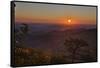 USA, Virginia, Shenandoah National Park, Sunrise along Skyline Drive in the Fall-Hollice Looney-Framed Stretched Canvas