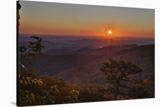 USA, Virginia, Shenandoah National Park, Sunrise along Skyline Drive in the Fall-Hollice Looney-Stretched Canvas