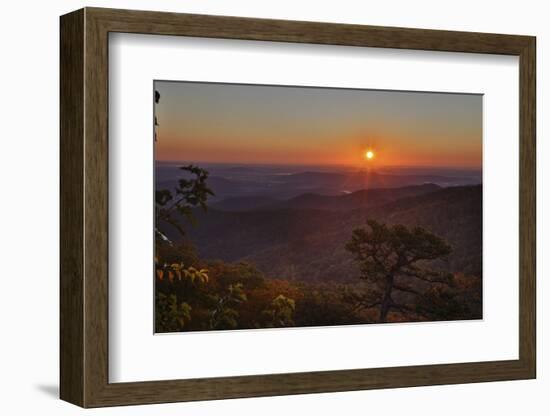 USA, Virginia, Shenandoah National Park, Sunrise along Skyline Drive in the Fall-Hollice Looney-Framed Photographic Print