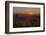 USA, Virginia, Shenandoah National Park, Sunrise along Skyline Drive in the Fall-Hollice Looney-Framed Photographic Print