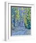 USA, WA, Cle Elum, Kittitas County. Forest road through the forest of western larch trees.-Julie Eggers-Framed Photographic Print