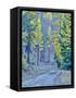 USA, WA, Cle Elum, Kittitas County. Forest road through the forest of western larch trees.-Julie Eggers-Framed Stretched Canvas