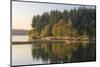 USA, WA. Fletcher Bay, Bainbridge Island. Beginnings of Fall Color-Trish Drury-Mounted Photographic Print