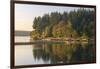 USA, WA. Fletcher Bay, Bainbridge Island. Beginnings of Fall Color-Trish Drury-Framed Photographic Print