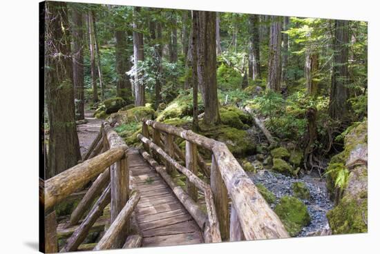 USA, WA, Olympic Mountains. Bridge over Lena Creek. Lena Lake trail Olympic National Forest.-Trish Drury-Stretched Canvas