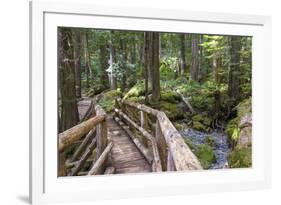 USA, WA, Olympic Mountains. Bridge over Lena Creek. Lena Lake trail Olympic National Forest.-Trish Drury-Framed Photographic Print