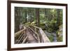 USA, WA, Olympic Mountains. Bridge over Lena Creek. Lena Lake trail Olympic National Forest.-Trish Drury-Framed Photographic Print