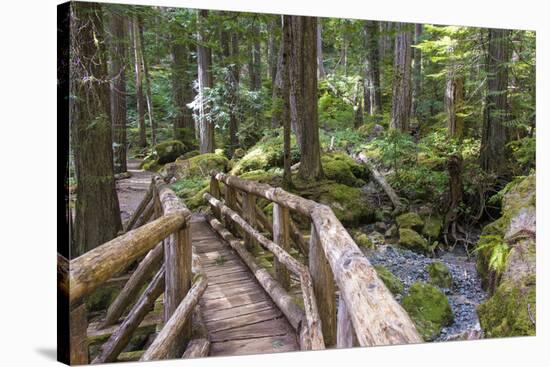 USA, WA, Olympic Mountains. Bridge over Lena Creek. Lena Lake trail Olympic National Forest.-Trish Drury-Stretched Canvas