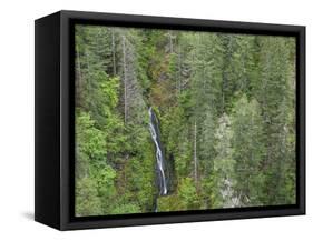 USA, WA, Olympic Mountains. View of South Fork Skokomish River and forest from High Steel Bridge.-Jaynes Gallery-Framed Stretched Canvas