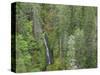USA, WA, Olympic Mountains. View of South Fork Skokomish River and forest from High Steel Bridge.-Jaynes Gallery-Stretched Canvas