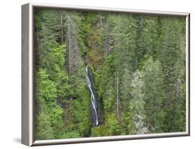 USA, WA, Olympic Mountains. View of South Fork Skokomish River and forest from High Steel Bridge.-Jaynes Gallery-Framed Photographic Print