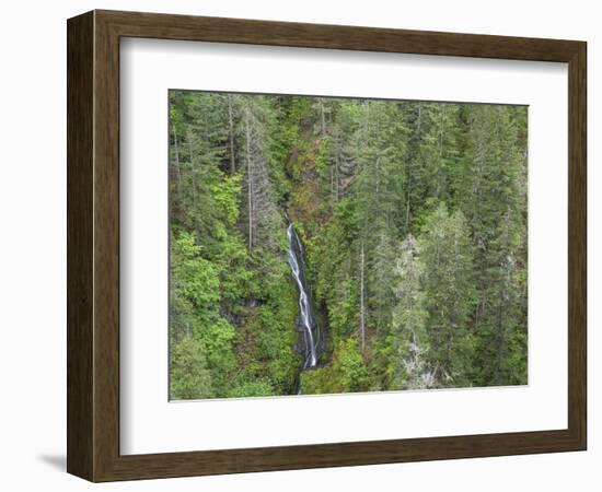 USA, WA, Olympic Mountains. View of South Fork Skokomish River and forest from High Steel Bridge.-Jaynes Gallery-Framed Photographic Print