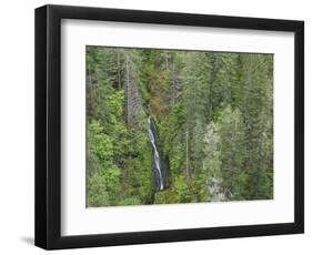 USA, WA, Olympic Mountains. View of South Fork Skokomish River and forest from High Steel Bridge.-Jaynes Gallery-Framed Photographic Print