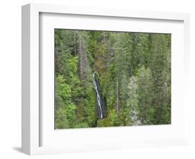 USA, WA, Olympic Mountains. View of South Fork Skokomish River and forest from High Steel Bridge.-Jaynes Gallery-Framed Photographic Print