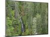 USA, WA, Olympic Mountains. View of South Fork Skokomish River and forest from High Steel Bridge.-Jaynes Gallery-Mounted Photographic Print