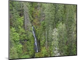 USA, WA, Olympic Mountains. View of South Fork Skokomish River and forest from High Steel Bridge.-Jaynes Gallery-Mounted Photographic Print