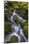 USA, WA, Olympic National Park. Cedar Creek scenic.-Jaynes Gallery-Mounted Photographic Print