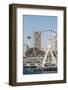 USA, WA, Seattle.Great Wheel on Pier 57 and cityscape.-Trish Drury-Framed Photographic Print