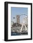 USA, WA, Seattle.Great Wheel on Pier 57 and cityscape.-Trish Drury-Framed Photographic Print