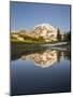 USA, WA. Tarn in Spray Park reflects Mt. Rainier in evening light at Mt. Rainier National Park.-Gary Luhm-Mounted Photographic Print