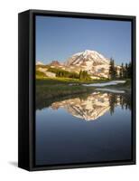 USA, WA. Tarn in Spray Park reflects Mt. Rainier in evening light at Mt. Rainier National Park.-Gary Luhm-Framed Stretched Canvas