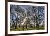 USA, WA, Walla Walla. Pioneer Park Gazebo-Brent Bergherm-Framed Photographic Print