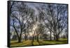 USA, WA, Walla Walla. Pioneer Park Gazebo-Brent Bergherm-Framed Stretched Canvas