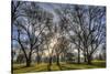 USA, WA, Walla Walla. Pioneer Park Gazebo-Brent Bergherm-Stretched Canvas