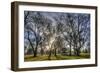 USA, WA, Walla Walla. Pioneer Park Gazebo-Brent Bergherm-Framed Photographic Print