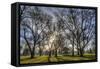 USA, WA, Walla Walla. Pioneer Park Gazebo-Brent Bergherm-Framed Stretched Canvas