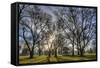 USA, WA, Walla Walla. Pioneer Park Gazebo-Brent Bergherm-Framed Stretched Canvas