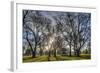 USA, WA, Walla Walla. Pioneer Park Gazebo-Brent Bergherm-Framed Photographic Print