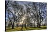 USA, WA, Walla Walla. Pioneer Park Gazebo-Brent Bergherm-Stretched Canvas