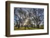 USA, WA, Walla Walla. Pioneer Park Gazebo-Brent Bergherm-Framed Photographic Print