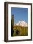 USA, WA. Woman kayaker paddles on calm, scenic Takhlakh Lake with Mt. Adams in the background.-Gary Luhm-Framed Photographic Print